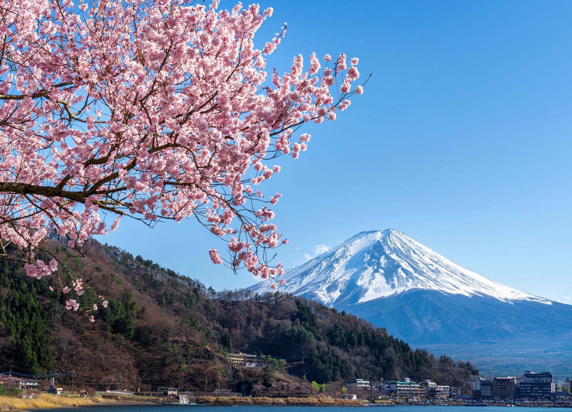 natuur japan